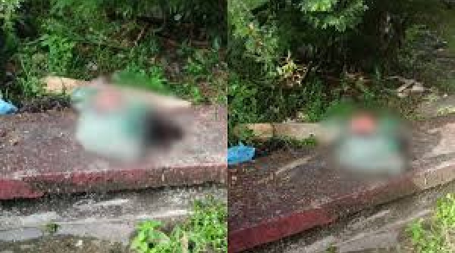 Feto em decomposição é encontrado próximo à rodoviária de Vitória do Mearim