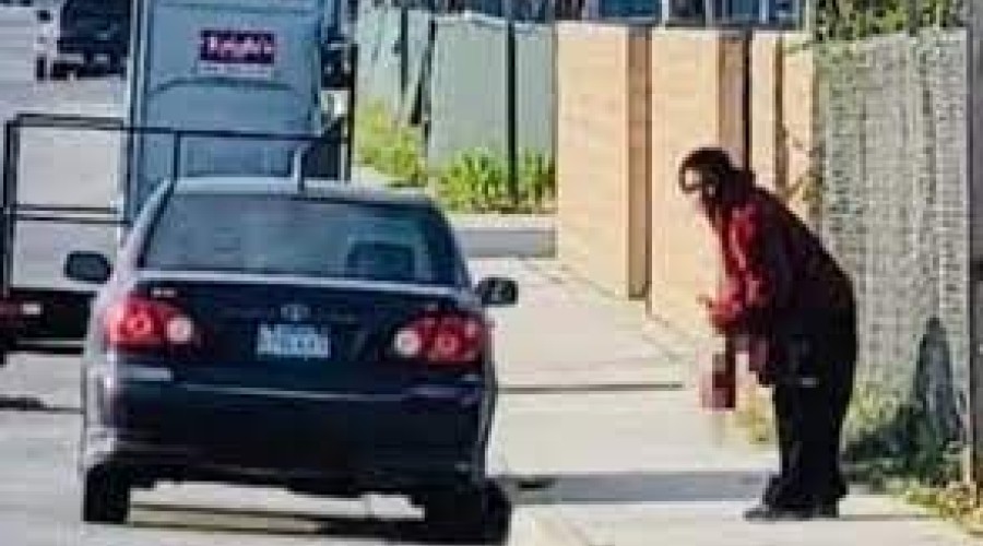 Homem é preso após roubar e comer perna humana amputada após acidente