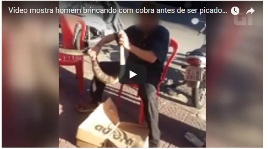 ASSISTA AOS VÍDEOS: Labaredas de fogo obrigam hóspedes e pular de andares em incêndio no Hotel Rio Poty