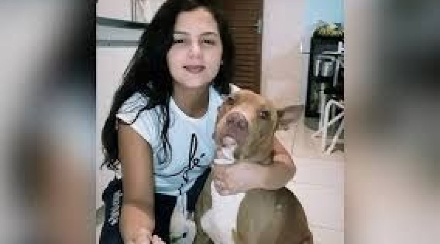 Vídeo: Pitbull precisou ser abatido depois de matar a dona