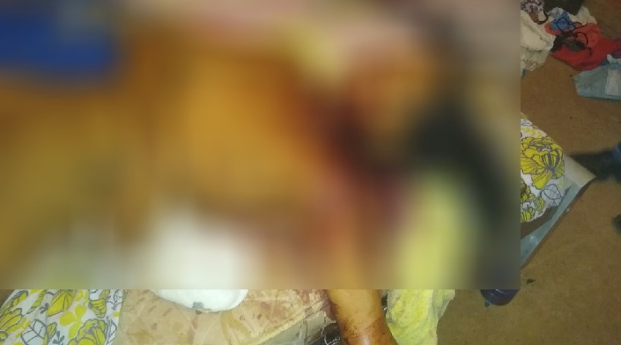 Mulher é encontrada nua e degolada dentro de casa