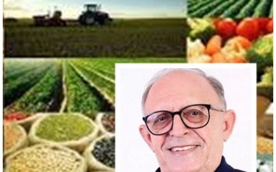 O AGRONEGÓCIO - Pedro Barros