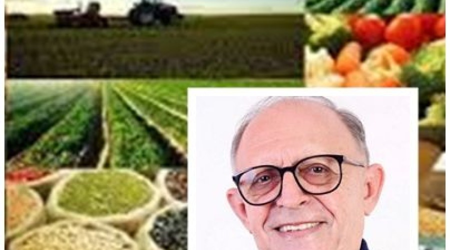 O AGRONEGÓCIO - Pedro Barros