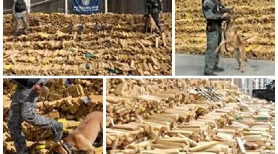 PM do Rio faz a maior apreensão de drogas da história do Brasil, quase 50 toneladas