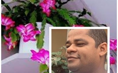 As flores de maio - Marcos Aurélio