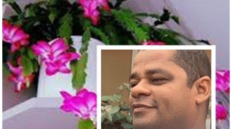 As flores de maio - Marcos Aurélio