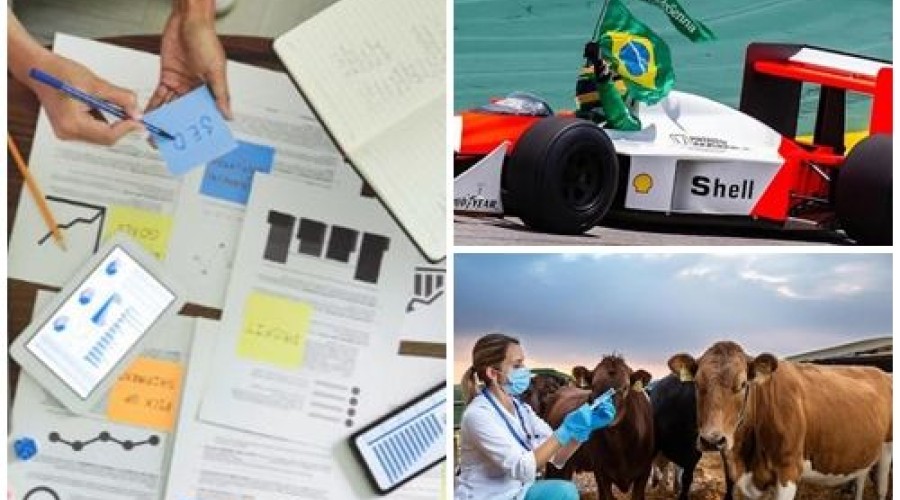 Hoje 09: Dia da Velocidade - Dia do Administrador - Dia do Médico Veterinário