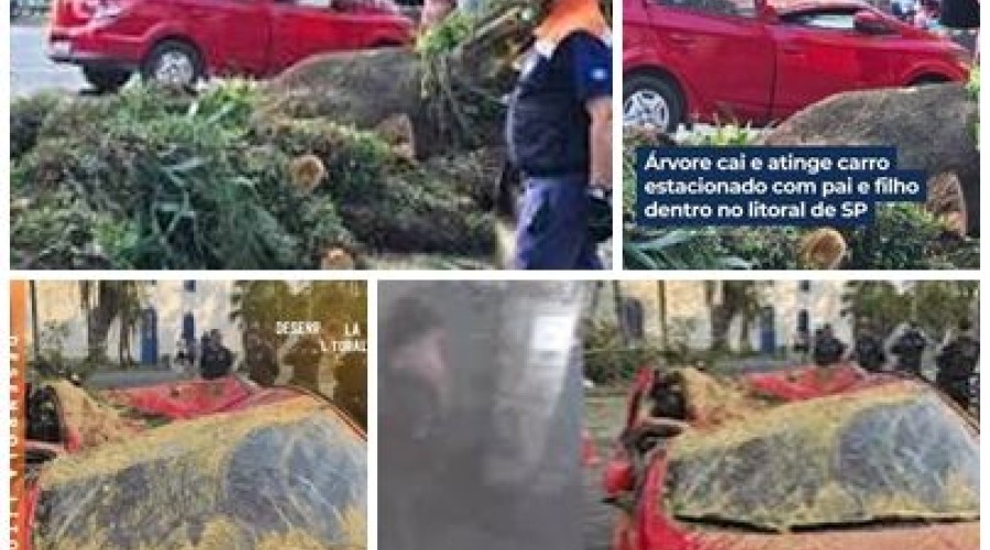 Vídeo mostra mulher desesperada ao ver carro esmagado por árvore com marido e filho dentro: 'Passa tudo pela cabeça'