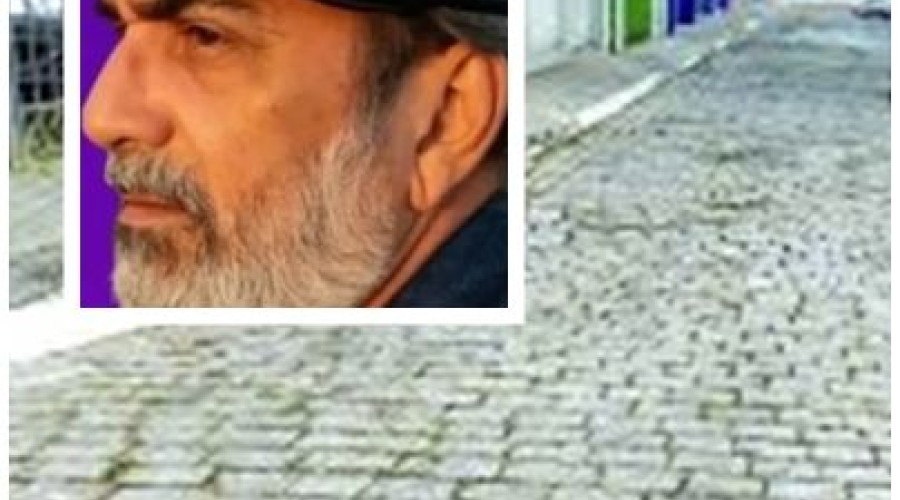 Poesias à Naureana - Wybson Carvalho