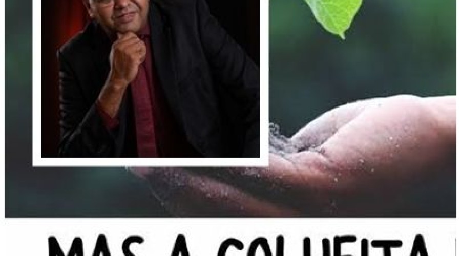 A seletividade do semear -  Ribamar Rodrigues