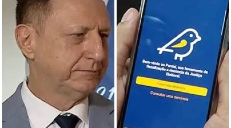 Aplicativo Pardal permite que eleitores denunciem irregularidades nas eleições