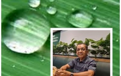 A gota d’água - Sílvio Cunha