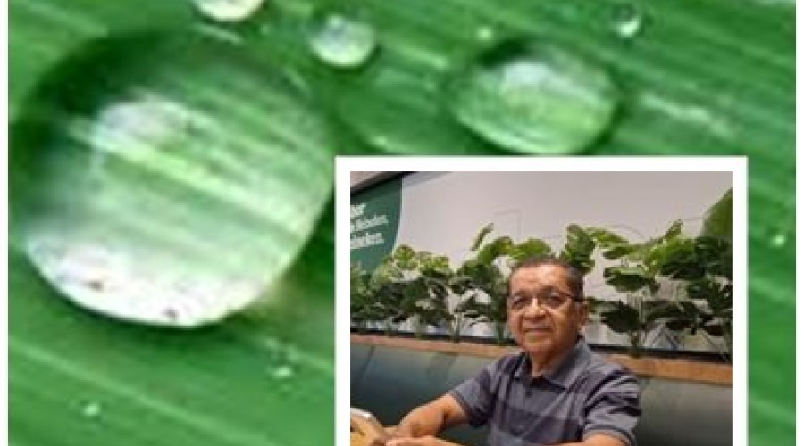 A gota d’água - Sílvio Cunha