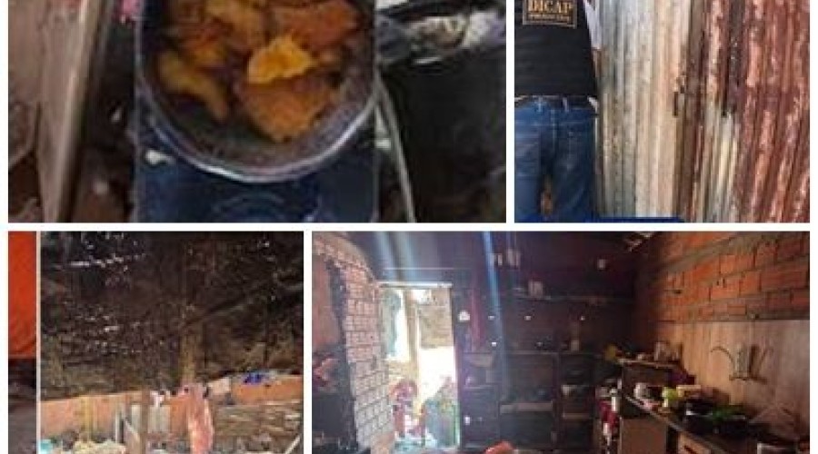 Mulher é presa por abandonar três crianças e idoso de 86 anos em Timon