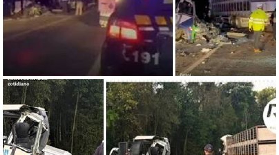 Acidente entre micro-ônibus e carreta deixa 23 mortos e cinco feridos no Paraná