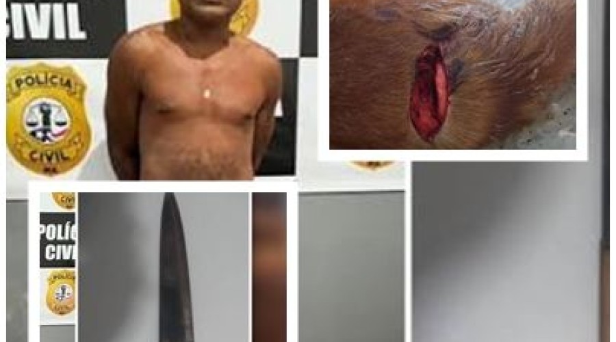 Polícia prende homem condenado por esfaquear cães e ameaçar vizinhos em Axixá