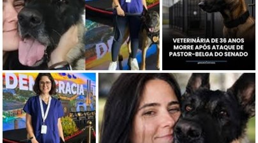 Quem era veterinária que morreu após ser atacada por pastor-belga do Senado em Brasília