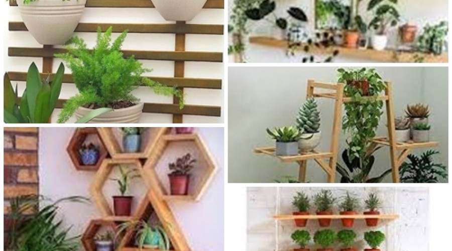 Dicas de Casa: Jardim vertical - Como trazer natureza para espaço pequeno da sua casa