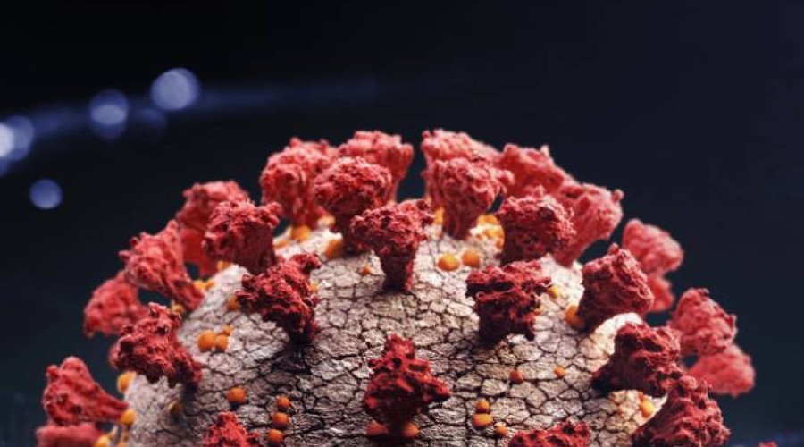 Morador do RJ que chegou de viagem testa positivo para a variante indiana