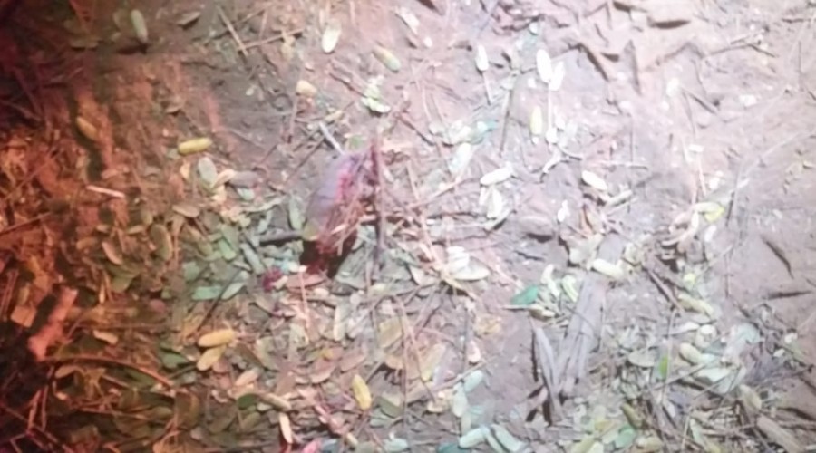 Mulher reage ataque e arranca a língua de estuprador na mordida