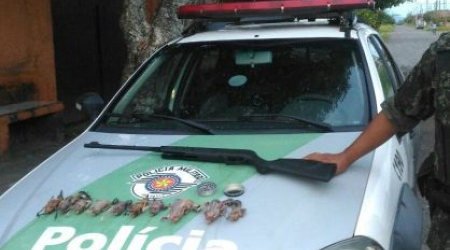Ambulante que fazia ‘espetinho’ de bem-te-vi para vender é preso
