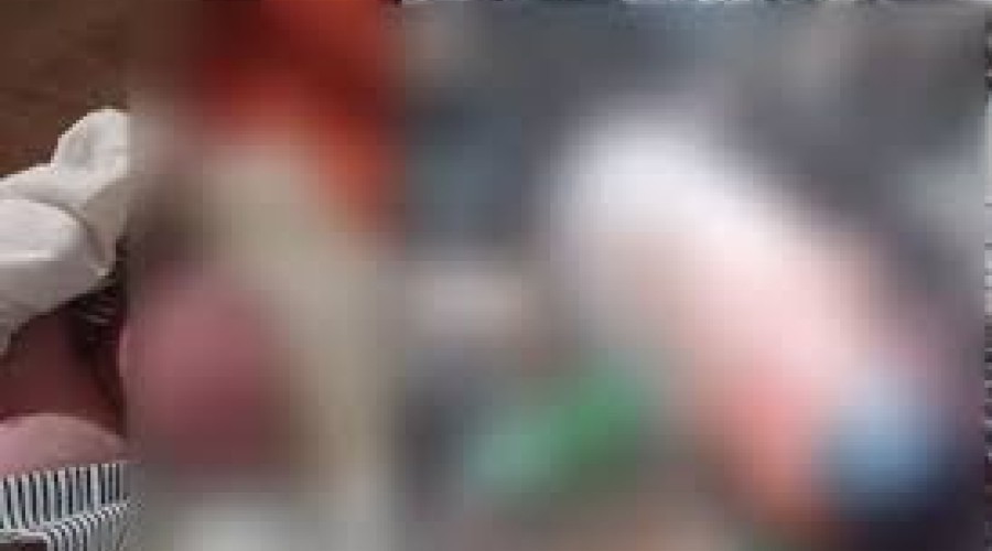 Bebê é encontrado no lixo em São Bento, no Maranhão; polícia investiga o caso