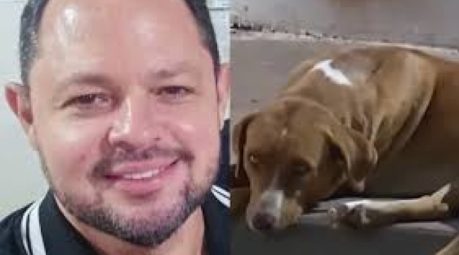 Comovente: Cachorra de delegado morto em operação espera por ele em delegacia