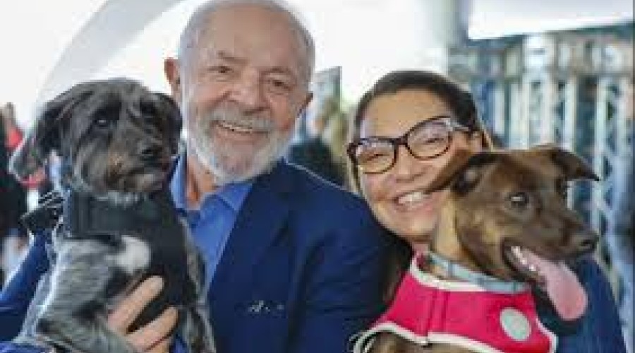 Saiba como funciona o SinPatinhas, novo RG Animal para cães e gatos