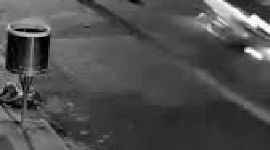 Caxias: Vídeo - Jovem de 25 anos morre após colidir motocicleta com um cavalo