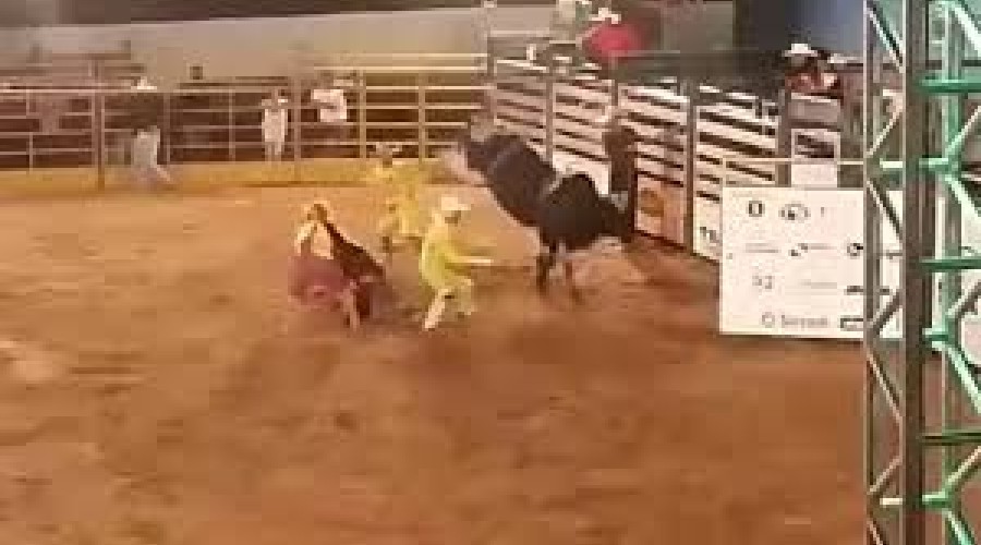 Assista ao Vídeo: Peão morre após ser pisoteado por touro em rodeio