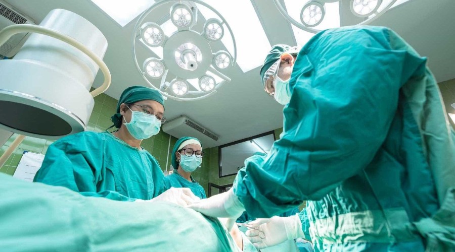 Doação de órgãos cresce 7% e governo prevê recorde em transplantes