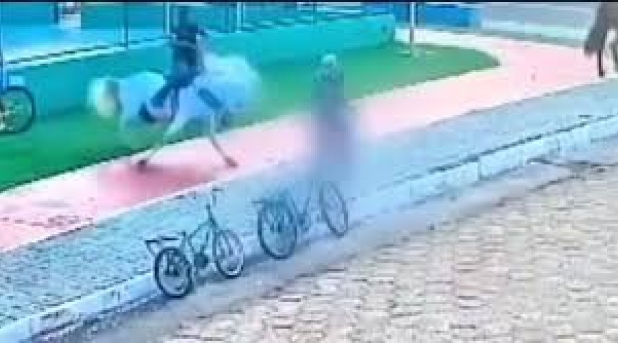 VÍDEO: Cavalo se descontrola e atinge idosa em praça no MA; vítima sofreu fraturas