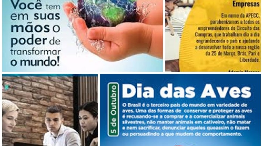 Hoje é dia de: Dia Mundial do Professor - Dia das Aves - Dia do Empreendedor - Dia Nacional da MPE