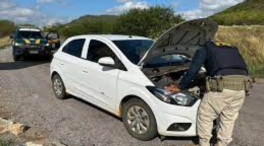 Homem troca cavalo por carro roubado e é detido pela PRF em Serra Talhada