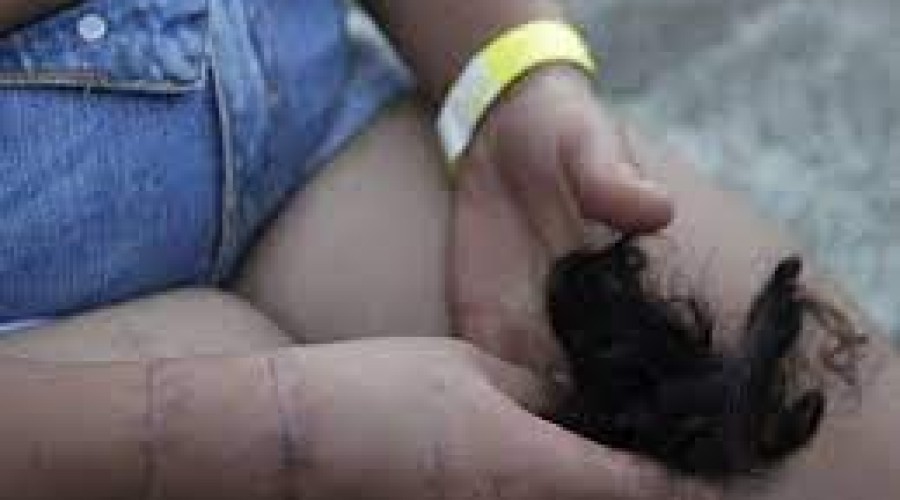 Homem corta cabelo da mulher e passa cola em suas partes íntimas