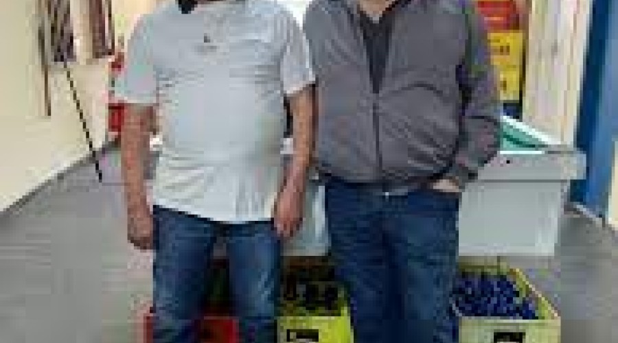 “Acorda, Pedrinho”: conheça a história por trás do maior hit atual do Brasil