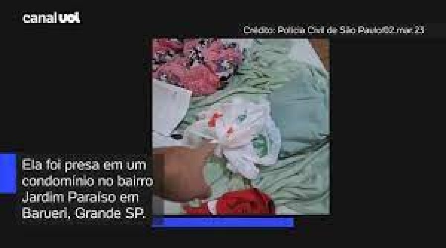 Vídeo: Médica é presa por ocultar cadáver de feto em marmitex em São Paulo