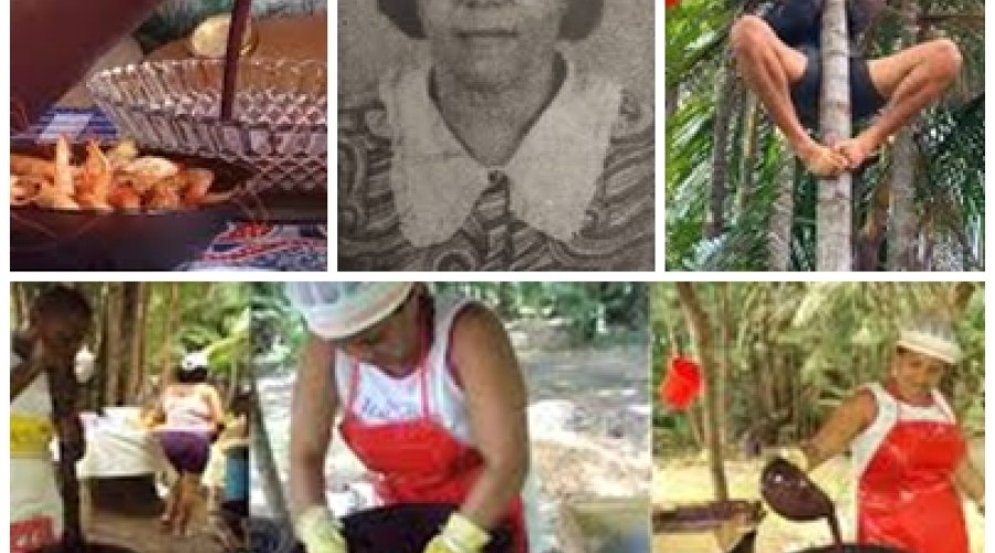 Raízes da História: 55 anos -   Festa da Juçara (outubro ) no Maranhão...Juçara ou Açaí...não interessa vamos festejar e saborear...