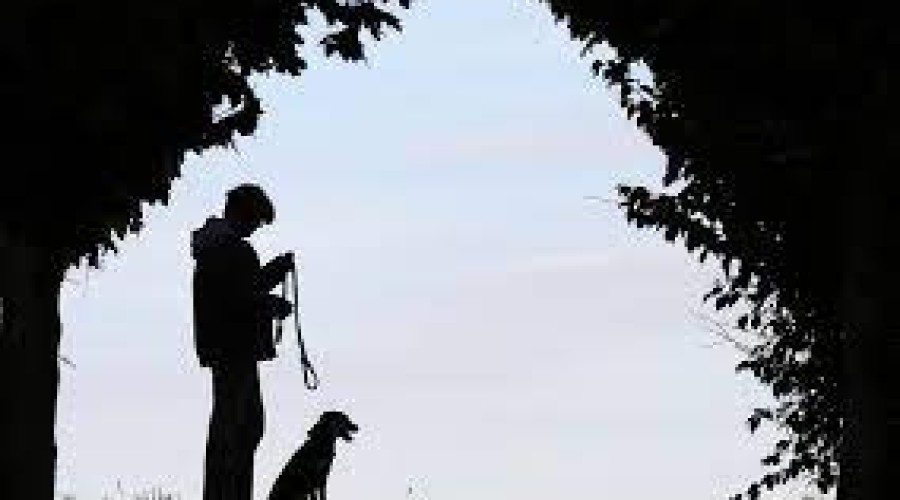 Mulher morde dona de cachorro durante briga sobre como disciplinar pet