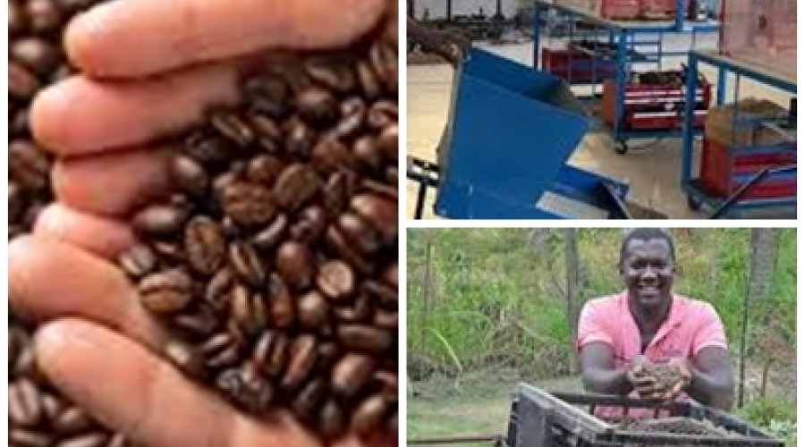 Brasileiro cria máquina de café revolucionária e China já quer comprar