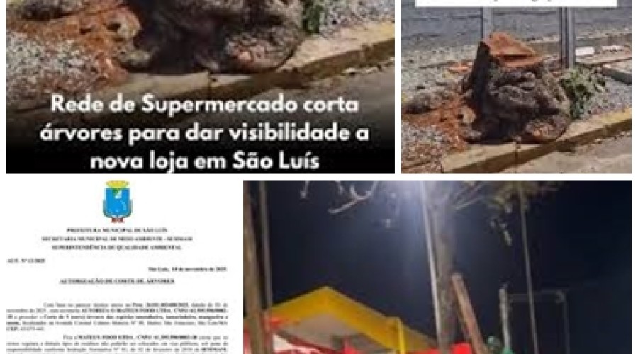 REFEITURA DE SÃO LUÍS AUTORIZOU GRUPO MATEUS A CORTAR ÁRVORES Novos vídeos mostram corte de árvores a mando de supermercado em São Luís; plenária com MP é convocada