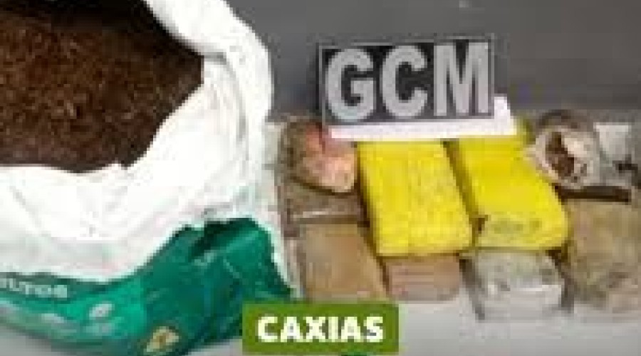 Baixinha/Caxias/MA: Droga ao encontrada escondida em sacos de ração para cachorros