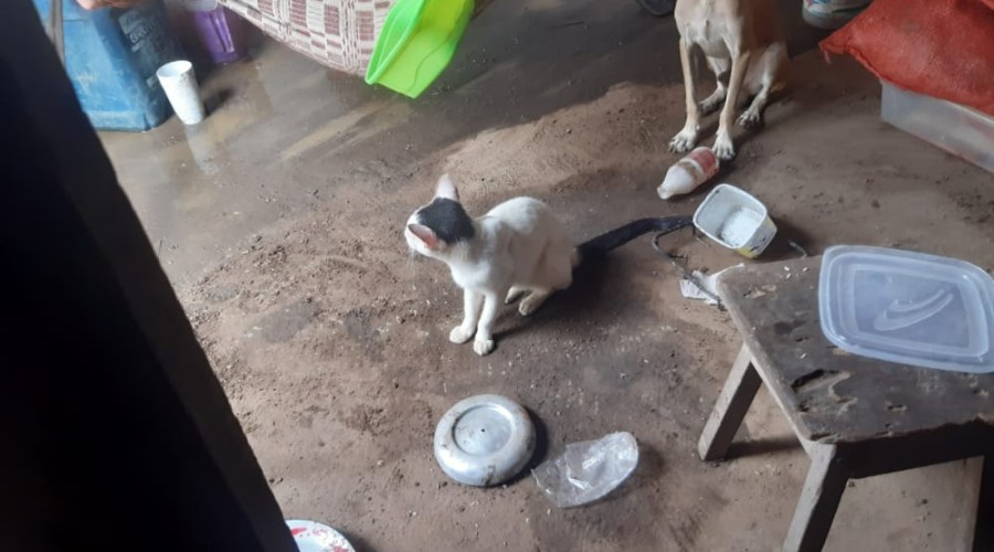 Idosa de 104 anos é resgatada após ser abandonada pelo filho que usufruía do benefício previdenciário
