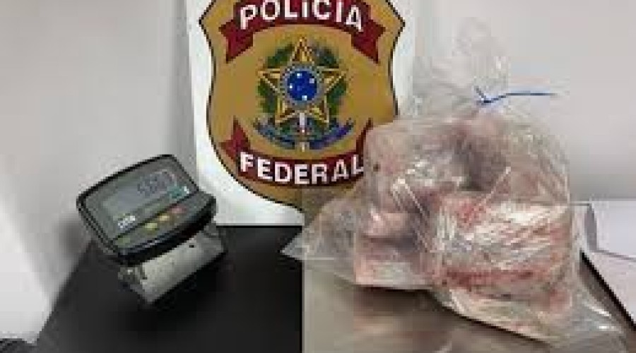 Traficantes usam até peixe congelado para transportar drogas via aeroportos no Brasil