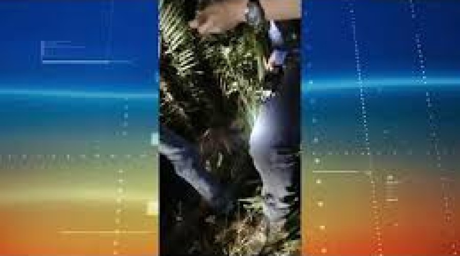 Assita ao Vídeo: Tiroteio deixa dois mortos e dois feridos na zona rural de Teresina