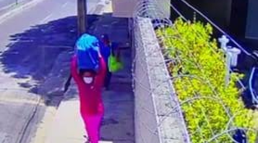 Teresina: Câmeras flagram mulheres que invadiram casa e roubaram R$ 90 mil em dinheiro e joias - cofre na cabeça