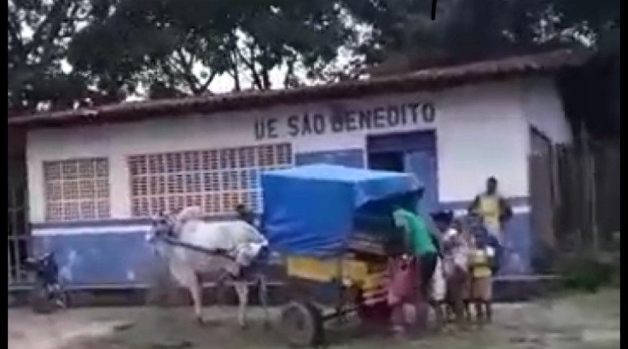 Prefeitura de Penalva inova e aluga carroça em lugar de ônibus escolar
