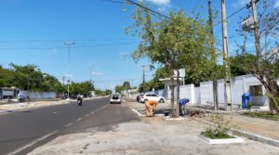 NATAL ILUMINADO – Prefeitura de Caxias realiza limpeza e manutenção de locais que recebem iluminação especial
