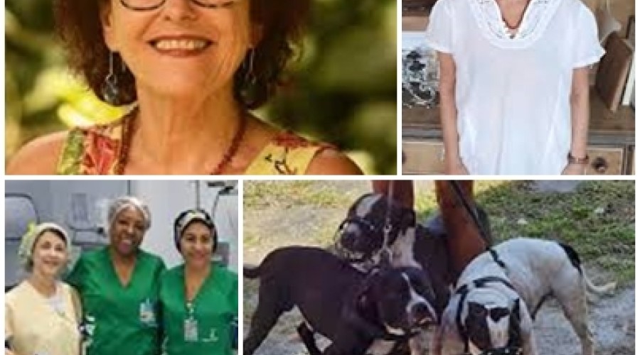 Escritora escreve poema enquanto se recupera de ataque de cães no RJ