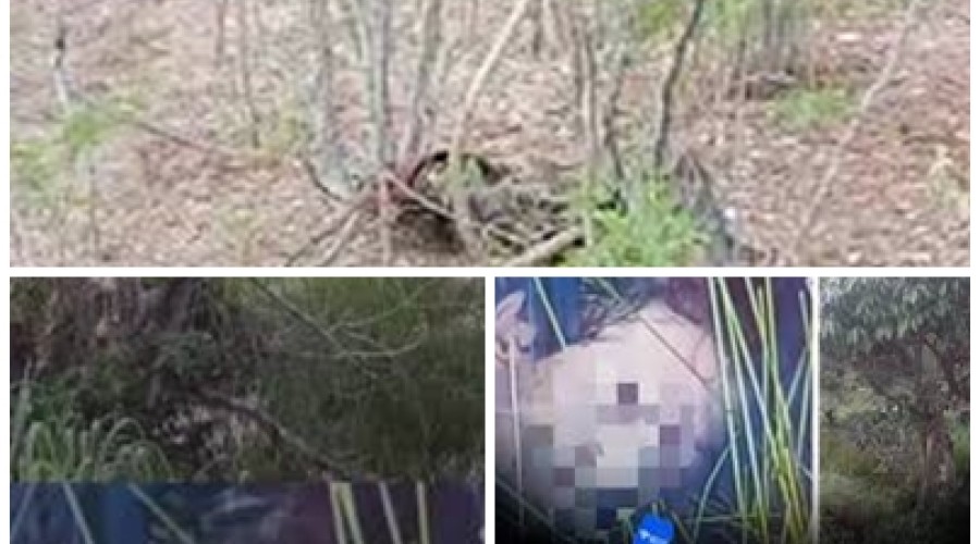 Cidelândia: Cabeça humana é encontrada às margens de córrego em cidade do Maranhão